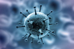 В Удмуртии выявлен еще 31 заболевший коронавирусом