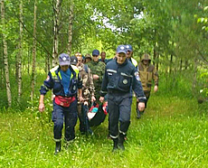 В Глазове спасатели нашли пропавшую в лесу пенсионерку