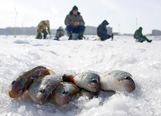В Удмуртии оборудуют 25 мест для зимней рыбалки
