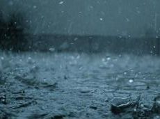 Жителей Удмуртии предупреждают о сильных дождях и усилении ветра