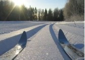Детские сады примут участие в лыжном переходе