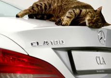 В рекламе автомобиля Мерседес поучаствовал кот