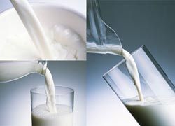 Фальсифицированную молочную продукцию изъяли в «Ижтрейдинге» и «Ашане»