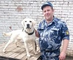 Служебная собака помогла найти запрещенные вещества у жителя Глазова