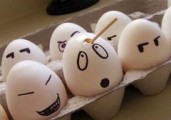 Удмуртия заняла второе место в ПФО по производству яиц