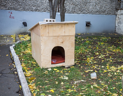 Ижевчанин построил во дворе будку для бездомной собаки