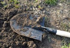 Глава Администрации Балезинского района убил женщину лопатой