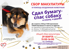 Жители Глазова могут сдать макулатуру и помочь бездомным собакам и кошкам