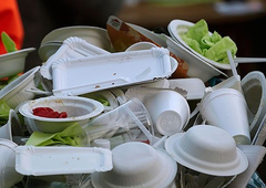 В Удмуртии планируют запретить использование пластиковой посуды на массовых праздниках