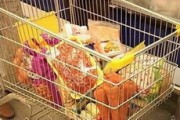 Запасов продовольственных товаров в магазинах Удмуртии хватит на 15 дней