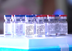 56 процентов взрослого населения Глазова вакцинировались от коронавируса