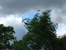 1 июня в Глазове прогнозируют усиление порывов ветра