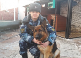 В Глазовском районе собака помогла сотрудникам полиции найти вора