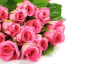 Купить цветы поможет каталог интернет-магазина цветов