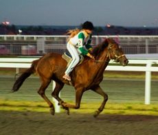 Казанский ипподром лечит больных детей с помощью лошадей