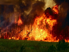 5 природных пожаров потушили в Удмуртии за выходные дни