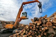 На строительство в Глазове лесопромышленного парка понадобится 3 миллиарда рублей