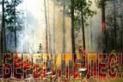 В Удмуртии введён режим пожарной опасности