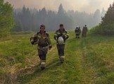 В национальном парке «Нечкинский» локализовали лесной пожар