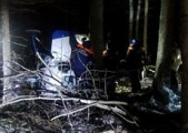Пилот разбившегося в Удмуртии вертолёта Ми-2 погиб