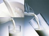 В Сарапуле водитель похитил у школьников более 2,5 тысяч упаковок молока
