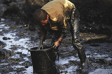 В Каракулинском районе Удмуртии произошел разлив нефти