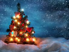Новогоднюю елку в Ижевске откроют 27 декабря 2014 года