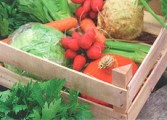 В Глазове определились с площадками для продажи сезонных овощей