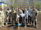 В центральном парке города Глазова появилась сиреневая аллея