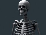 В Ижевске обнаружили скелет человека