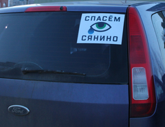  В Глазове общественные активисты раздали сотни автомобильных наклеек «Спасем Сянино»