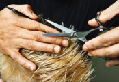 Глазовский парикмахер выделил два дня на стрижку людей с ограниченными двигательными способностями