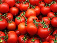 В Ижевске уничтожили более 200 килограммов турецких томатов