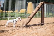 В Глазове идёт строительство первой в городе площадки для выгула собак
