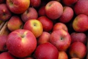 В Ижевске уничтожили более тонны запрещенных яблок и томатов