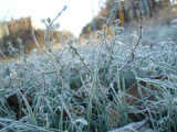 В Удмуртии ожидаются заморозки на почве