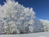 В ночь на 23 февраля в Удмуртии ожидается до -26 градусов мороза